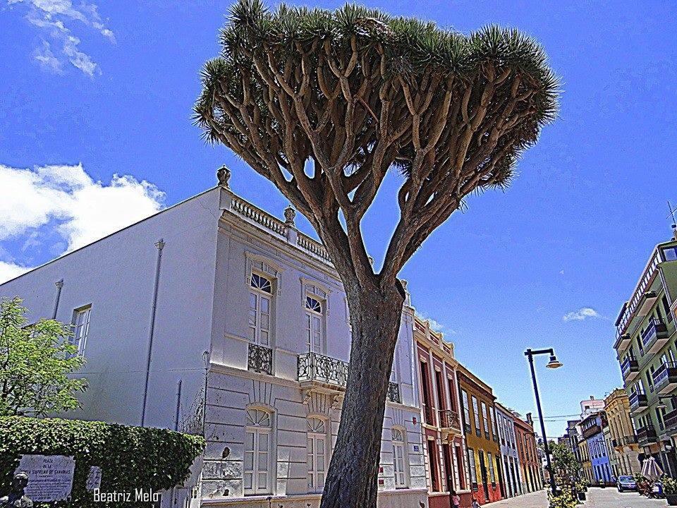 Apartamento Maya La Laguna  Exterior photo